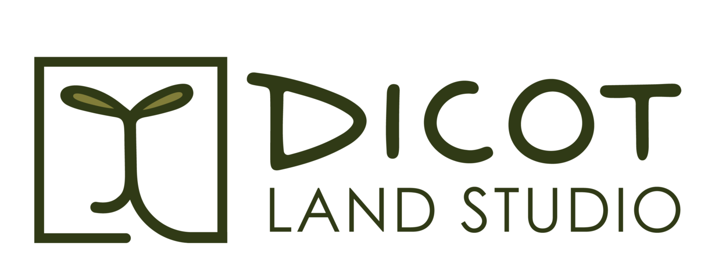 Dicot Landscape Studio