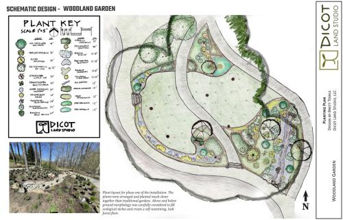 Johnson Woodland PlantingPlanR